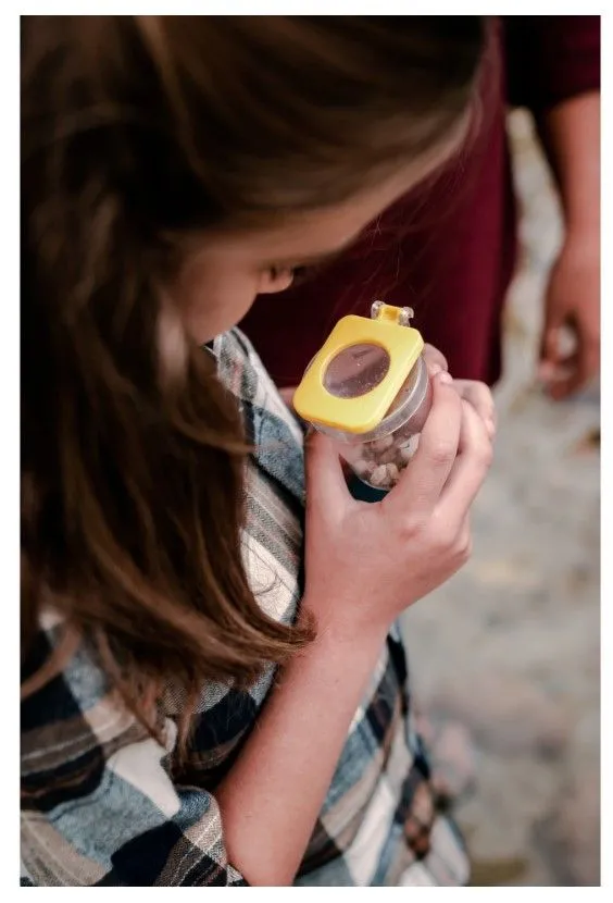INSECT CATCHING KIT